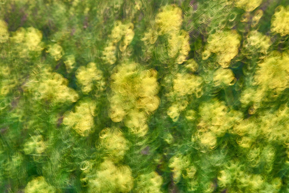 01_06873
