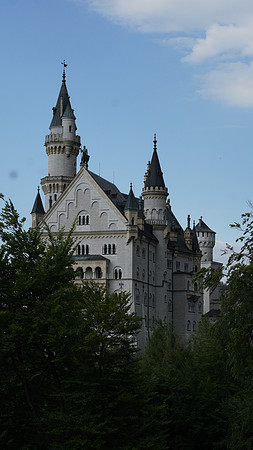 Image_220