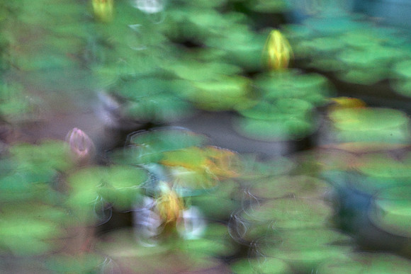 01_00590