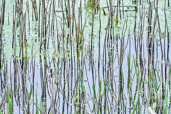 01_08238