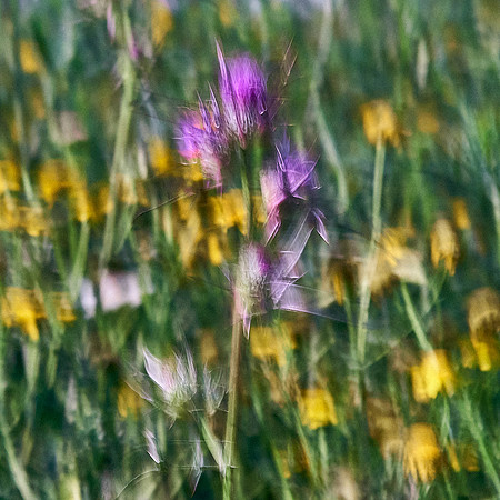 S1_07359_1