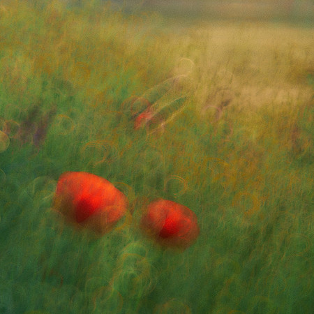 01_07008