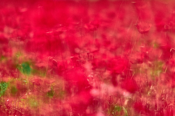 S1_07689