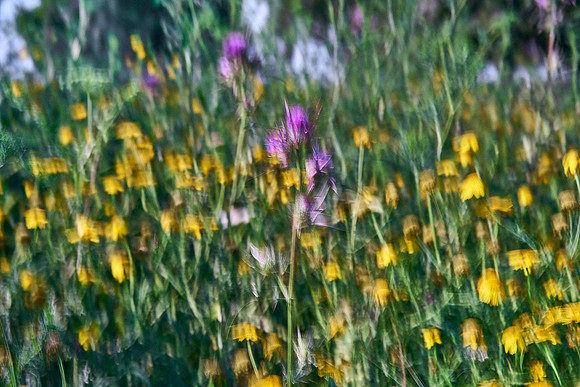 S1_07359