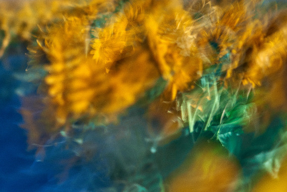 01_09079