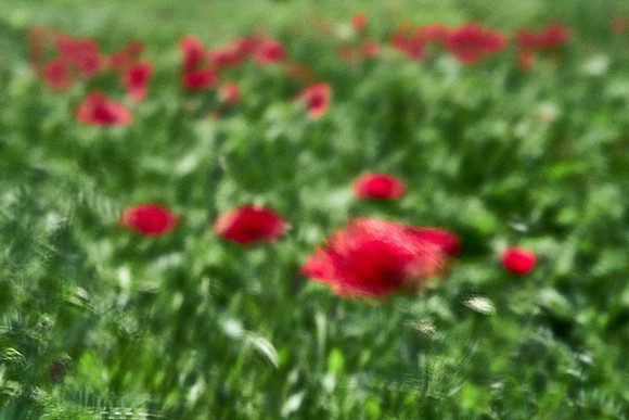 S1_07759