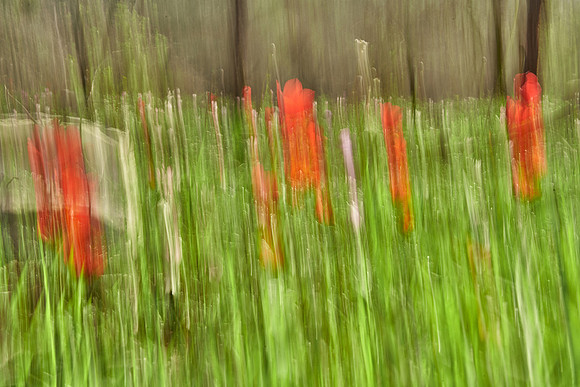 01_06397