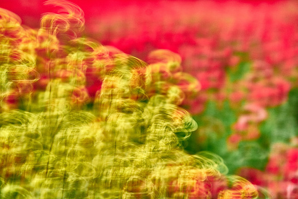 S1_07601