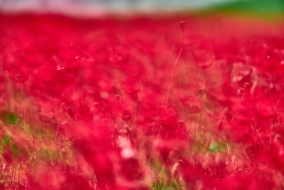 S1_07694