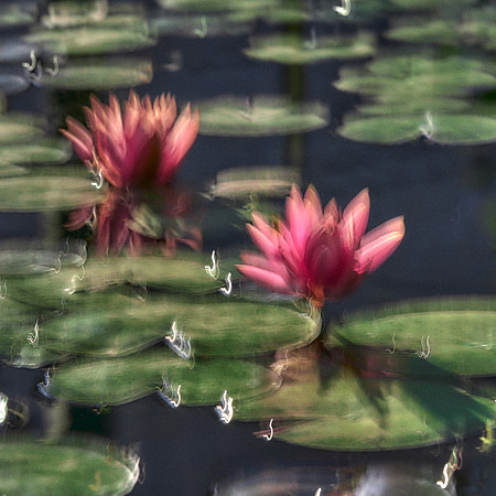 2023_04_14_209