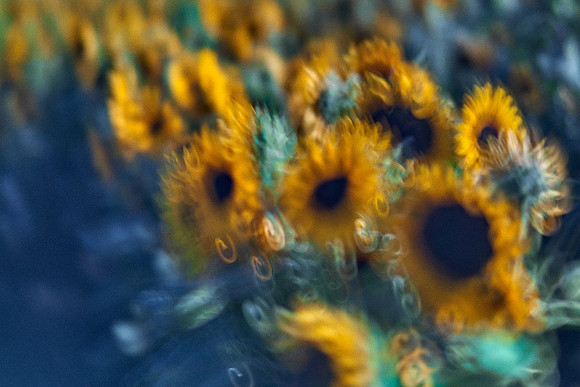 01_09048