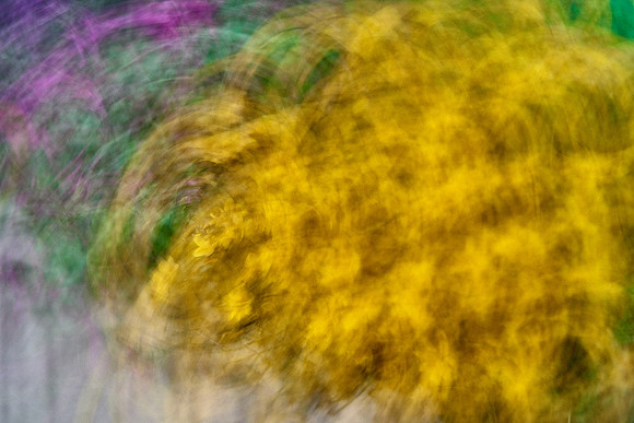 S1_04571