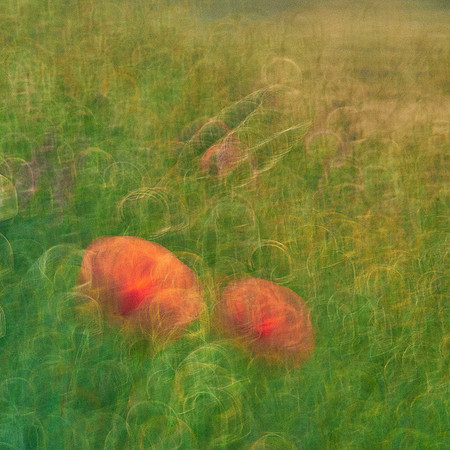 01_07021