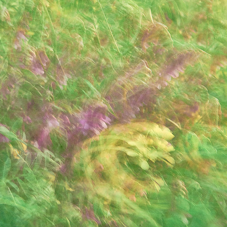 01_06830_3