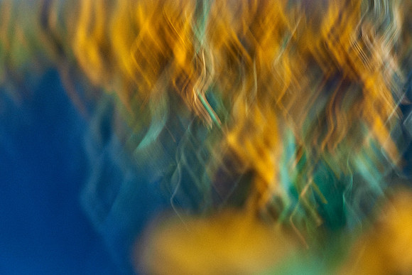 01_09076