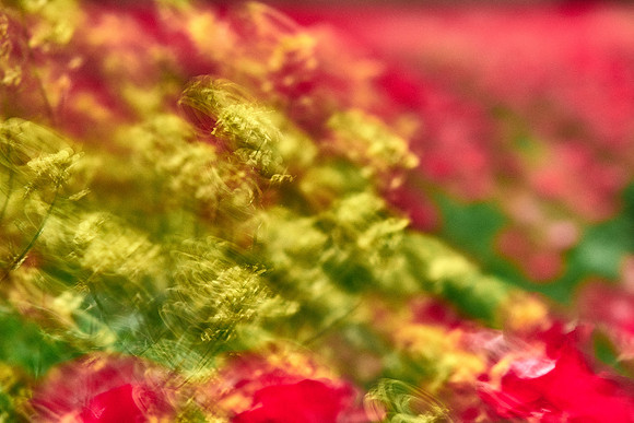 S1_07616