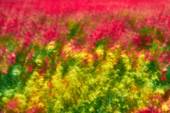 S1_07724