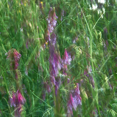 01_06649