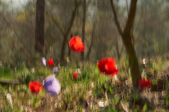 01_06745 copy