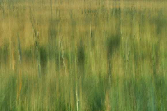 01_07165_1
