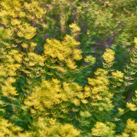 01_06925