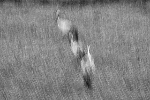 S1_04453_1