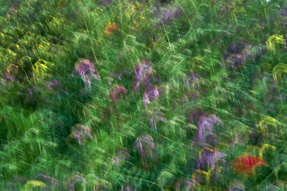 01_06640