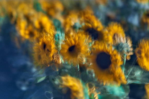 01_09049