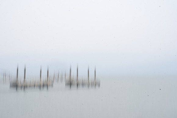 S1_05958