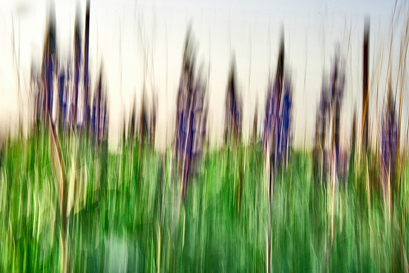 01_05873