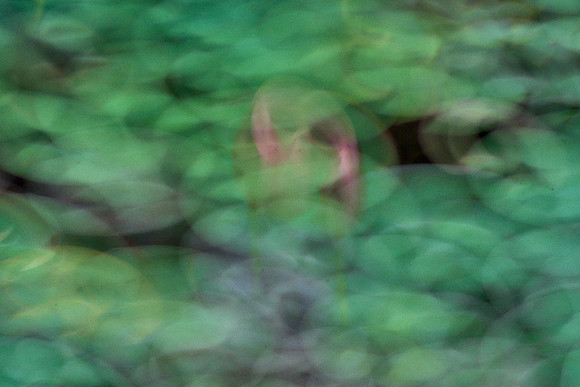 2023_04_15_051