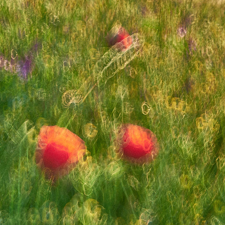 01_06968