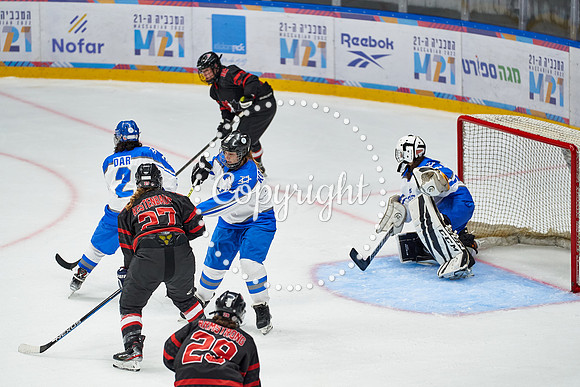 IMAGE_01147