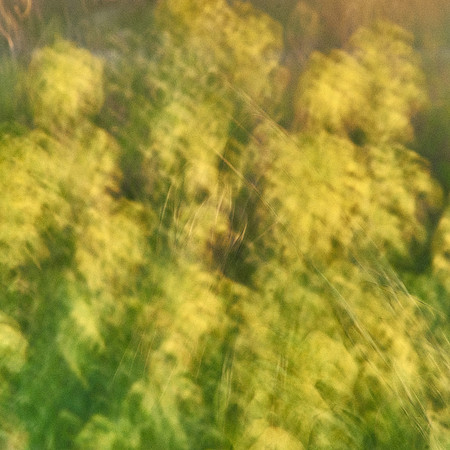 01_06877