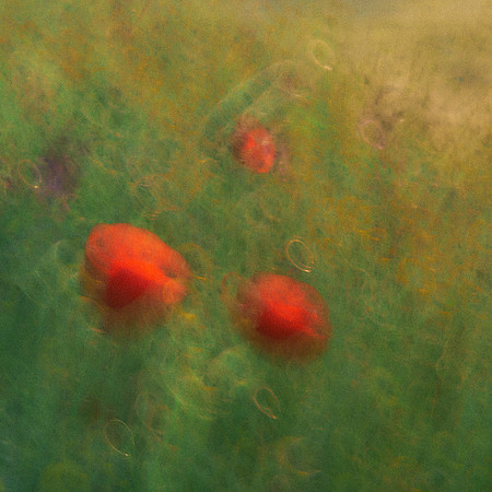 01_06985