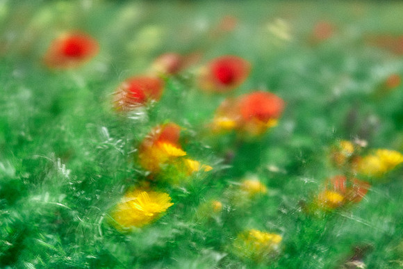 S1_07773