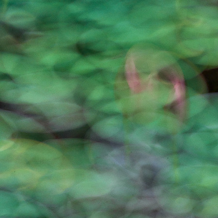 2023_04_15_051_1