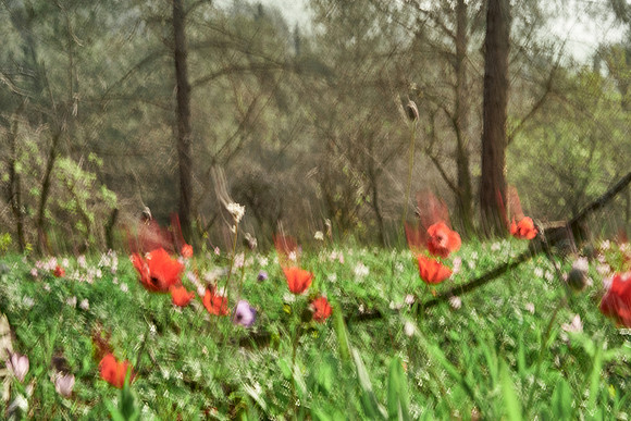 01_06423