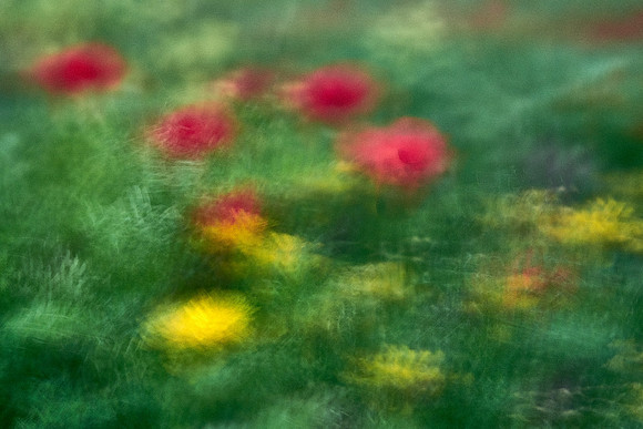 S1_07769