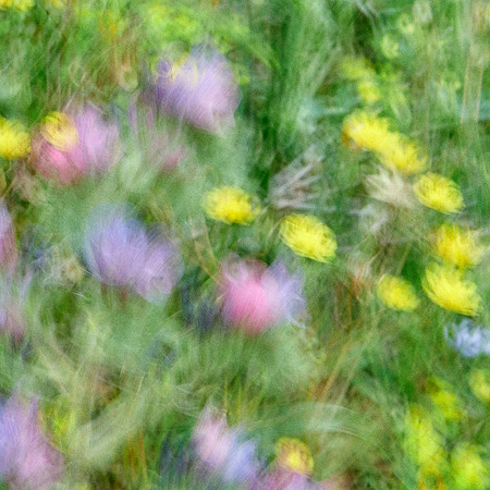 01_08491