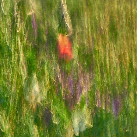 01_06971