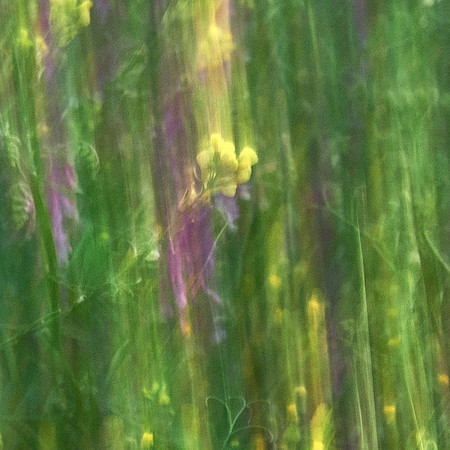 01_06659