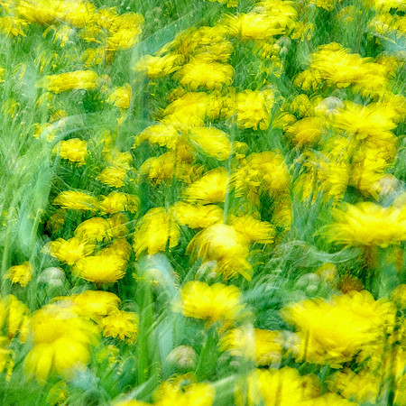 01_08174