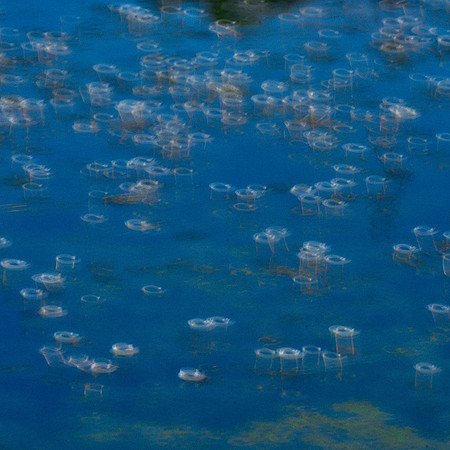 01_07240