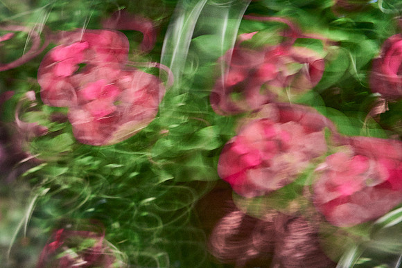S1_04617