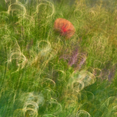 01_07008_2