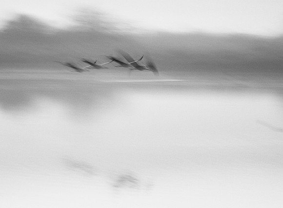 S2_01341 BW