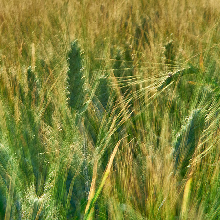 01_07055