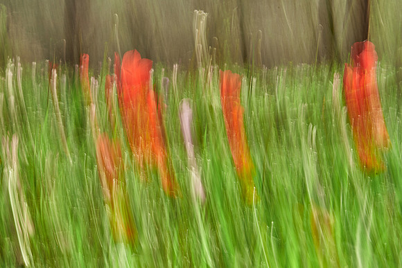 01_06394