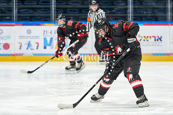 IMAGE_01299